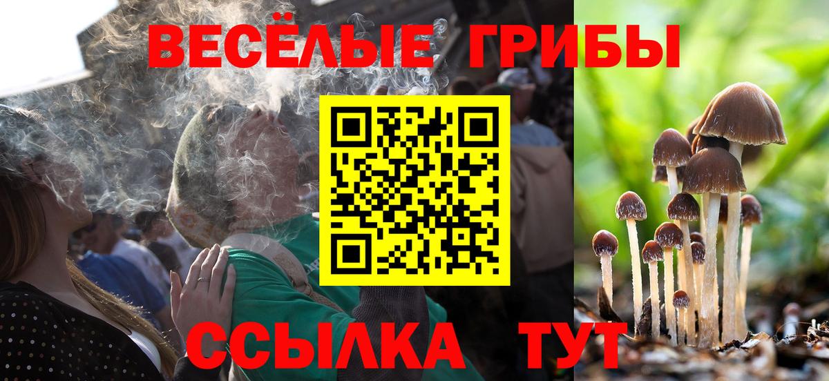 Галлюциногенные грибы MAGIC MUSHROOMS Балаково