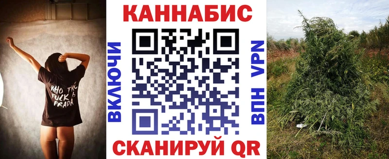 ссылка на мегу   Балаково  Бошки Шишки THC 21% 